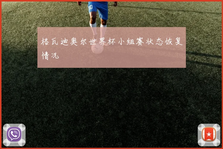 格瓦迪奥尔世界杯小组赛状态恢复情况