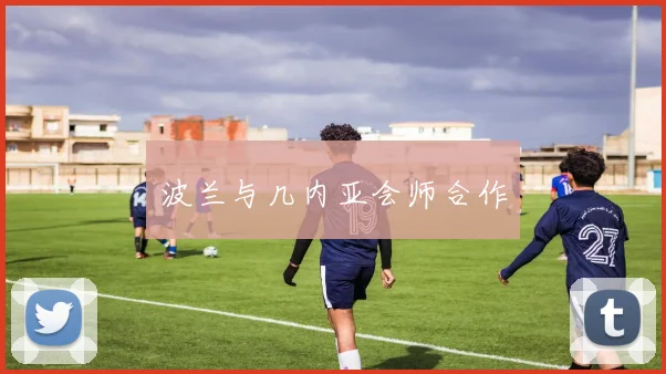 波兰与几内亚会师合作
