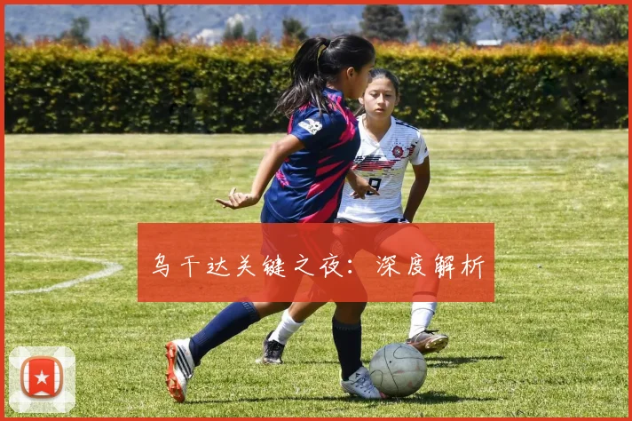 乌干达关键之夜：深度解析